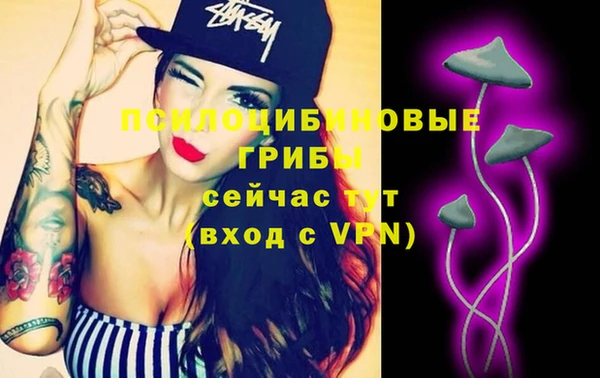 эйфоретик Белокуриха