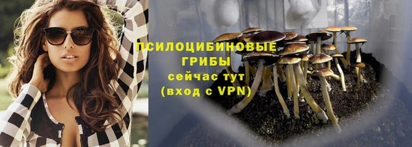 эйфоретик Белокуриха