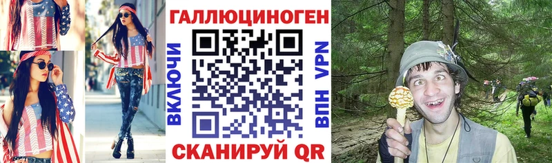 магазин  наркотиков  Вязьма  Псилоцибиновые грибы Psilocybe 