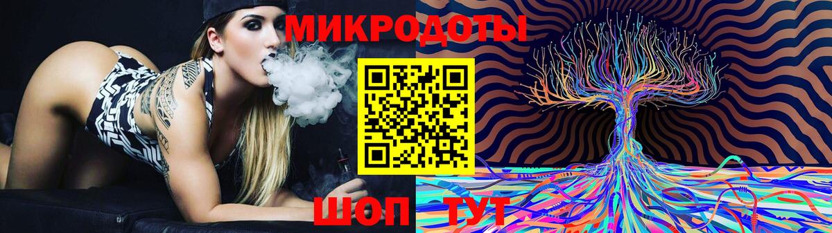 Псилоцибиновые грибы Psilocybe Вязьма